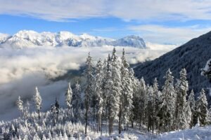 Switzerland’s Snowy Peaks